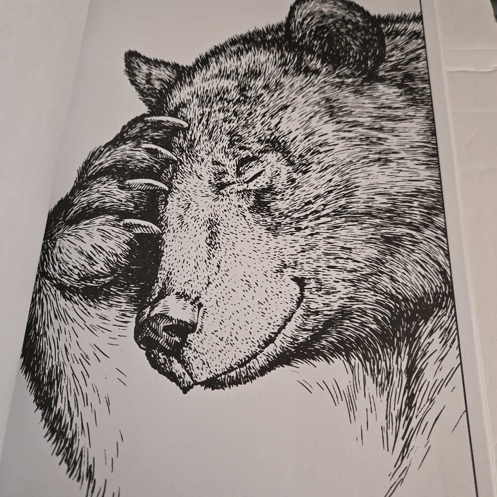 Bundle/3 Adult Coloring Books - Picture 4 of 16